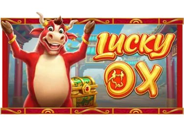 62bets